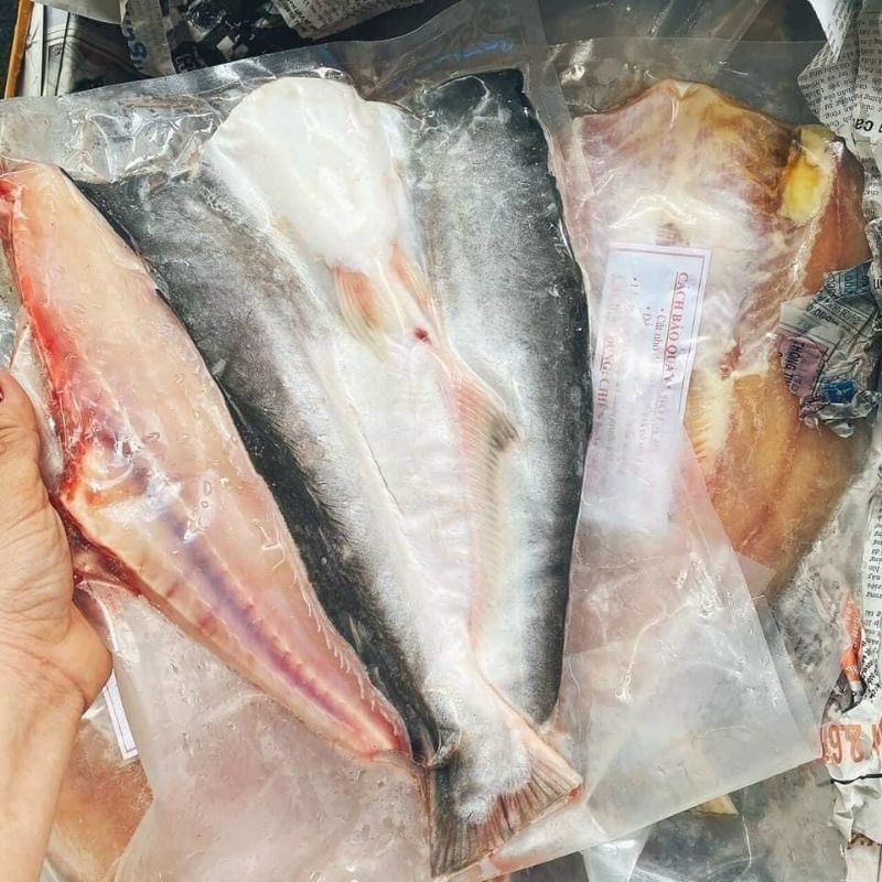CÁ DỨA 1 NẮNG NGUYÊN CON