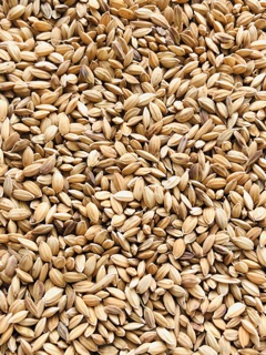 Kê đỏ & Lúa - thức ăn: Chim Cảnh, Gà.. (Combo 2kg)