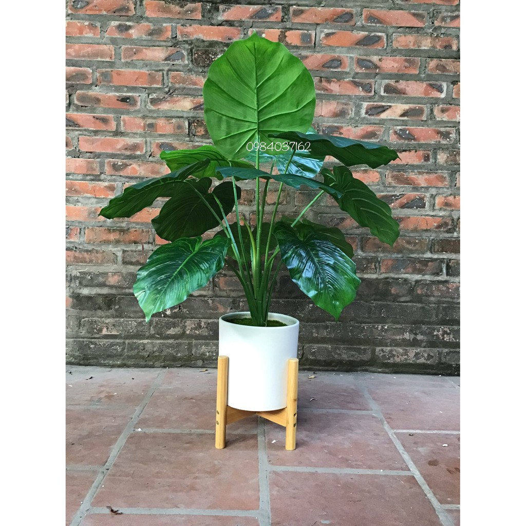 Cây giả - Cây trầu bà giả trang trí đẹp không bao gồm chậu và kệ