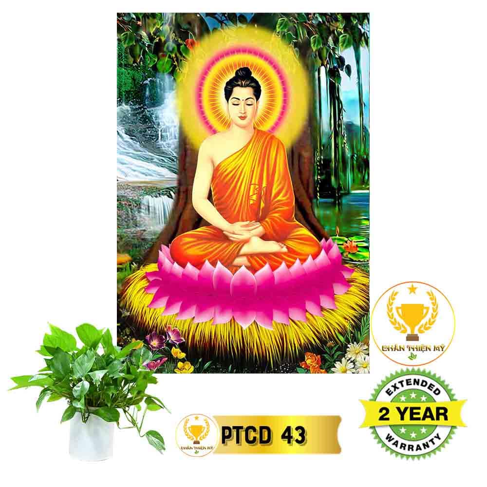 Tranh Phật Thích Ca có khung_PTCK6