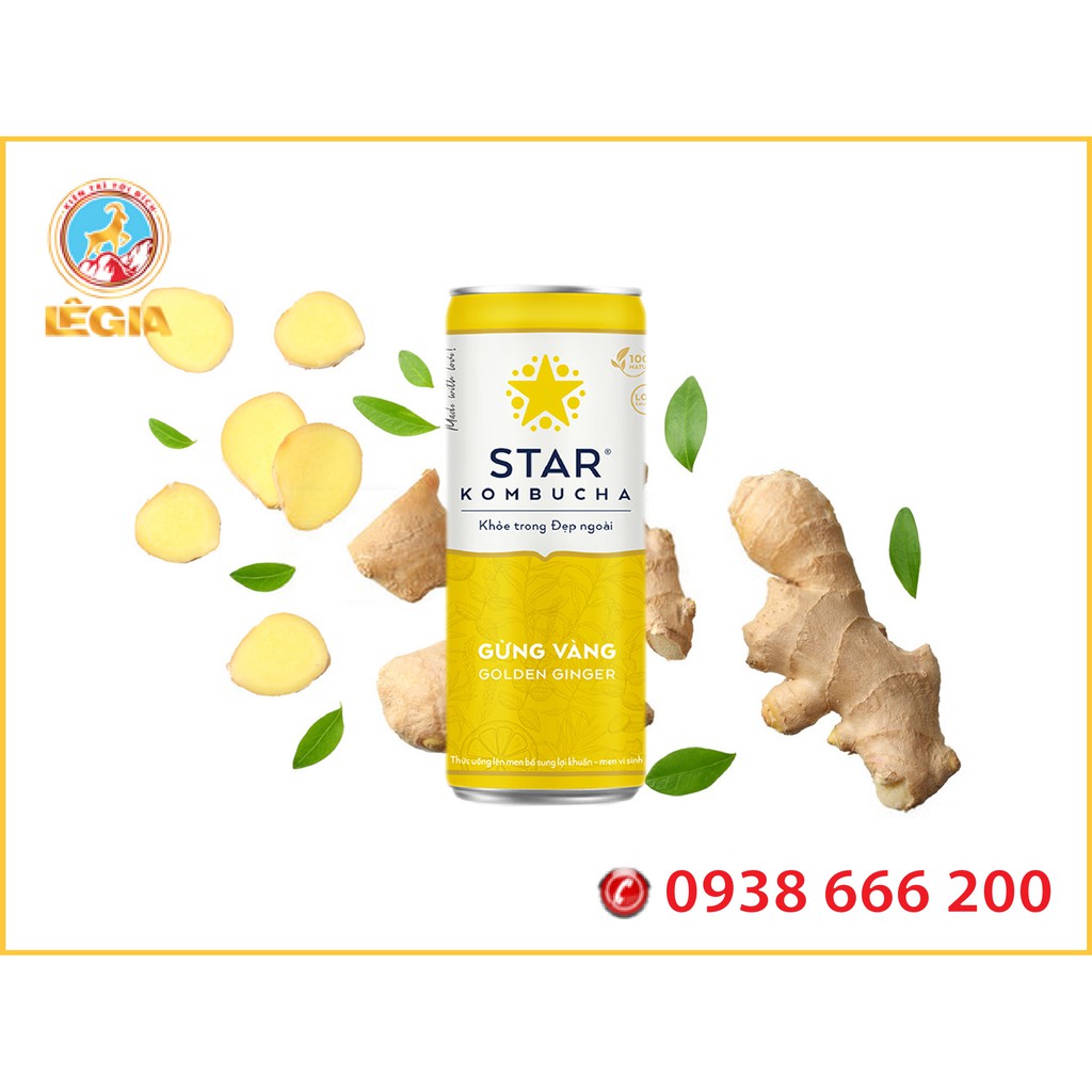 Nước Trái cây STAR KOMBUCHA Vị Gừng Vàng 250ML