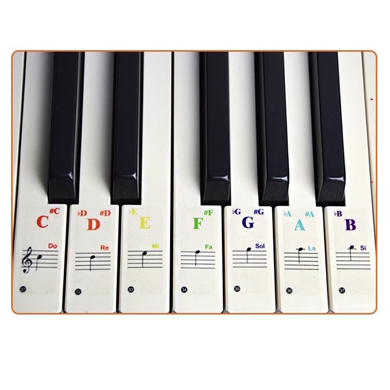 Sticker dán nốt bàn phím đàn piano organ dùng cho tất cả các phím đàn 88, 76, 61, 54, 36 phím Enzi