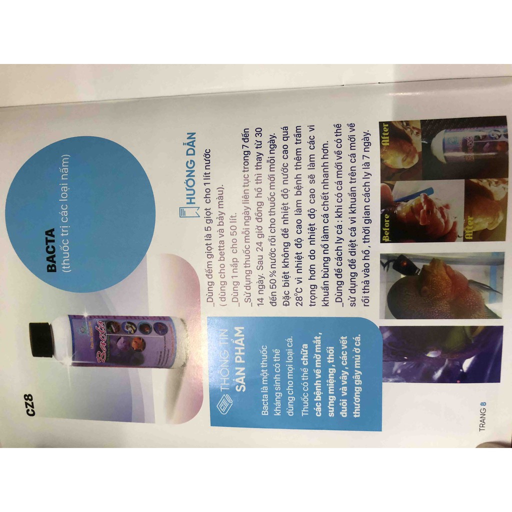 BACTA XỬ LÝ NẤM LỞ LOÉT MỜ MẮT Ở CÁ CẢNH CZ8