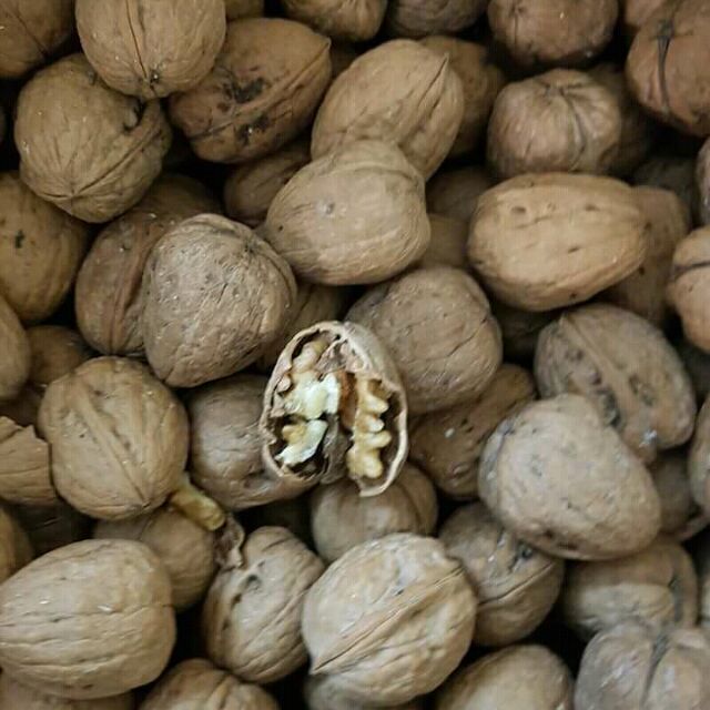 Óc chó chưa tách vỏ