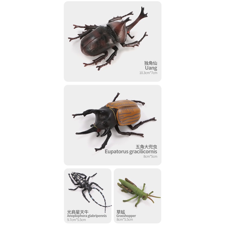 Bộ Đồ Chơi Mô Hình Côn Trùng Hoạt Hình Dành Cho Trẻ Em