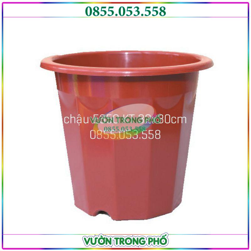 Combo 5 chậu nhựa E350 kt 32x30cm
