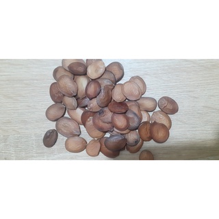 Hạt giống móng bò (ban tím)