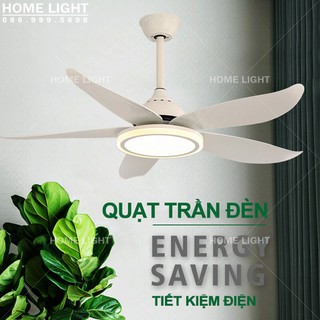 Quạt trần trang trí HomeFan HL-FAN089