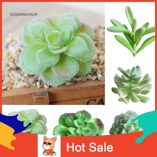 Cây sen đá giả trang trí sân vườn