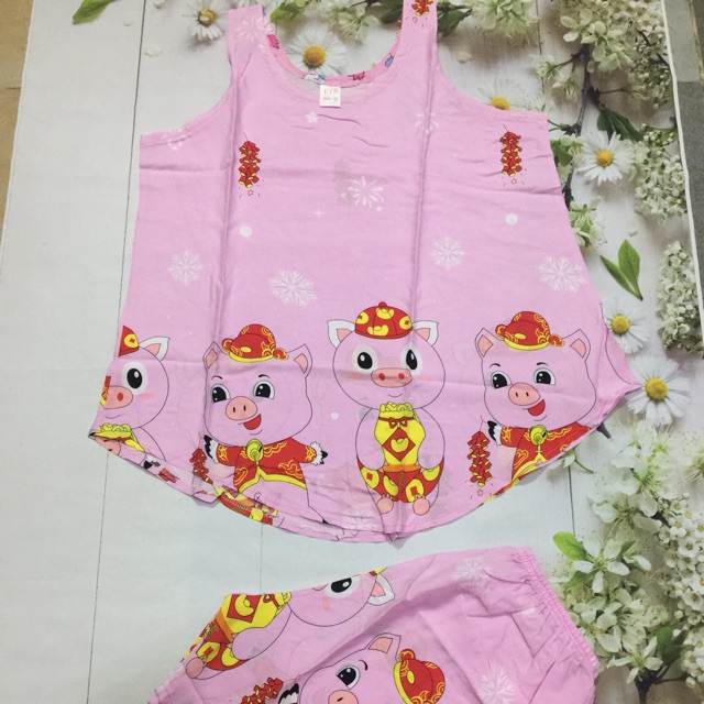 🌈🌈Đồ bộ tole(Lanh)2 da mặc bao mát🌈🌈