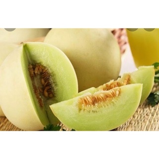 Hạt giống DƯA LÊ F1