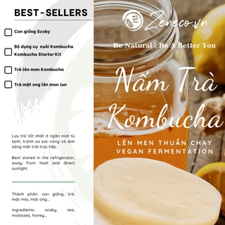 Nấm thủy sâm Kombucha - Jun làm trà lên men | Kombucha - Jun For Making Fermented Tea
