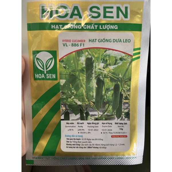 HẠT GIỐNG DƯA LEO BÓNG HOA SEN F1 639,640,879 gói 10gram