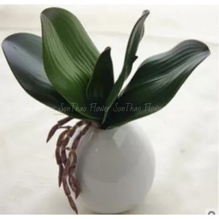 Cây giả lá lan trang trí nhà cửa bền đẹp hoa giả