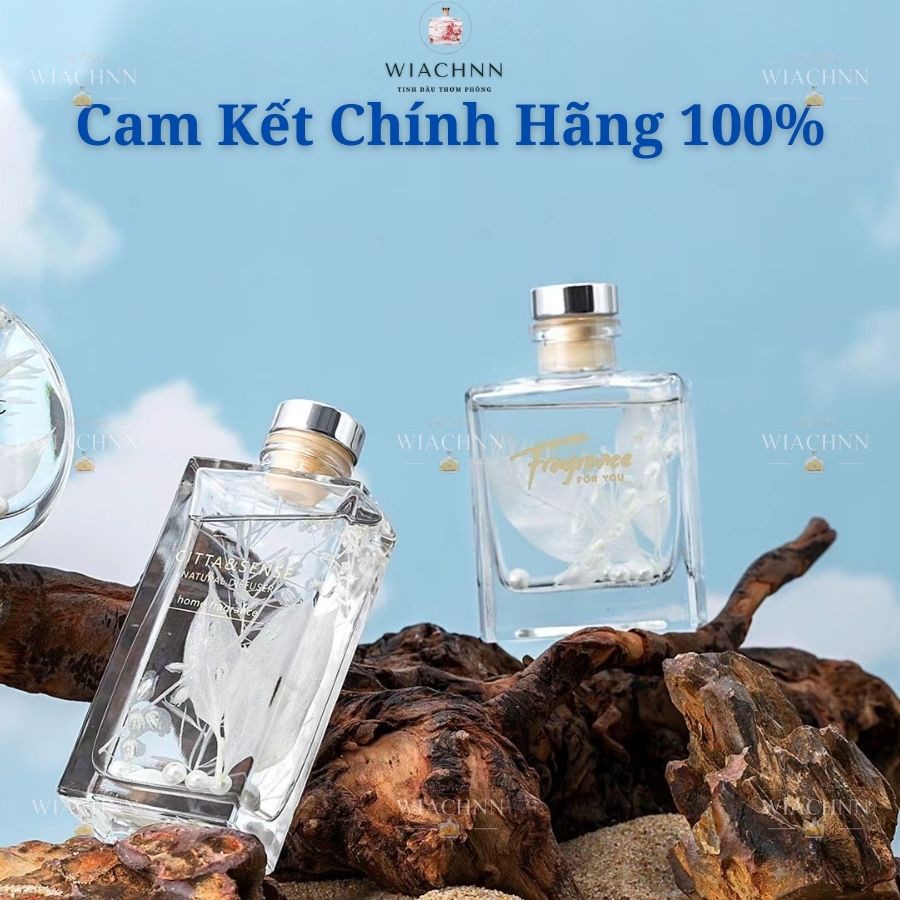 Tinh Dầu Nước Hoa Thơm Phòng Đại Dương CITTA 150ml Que Gỗ Tự Khuếch Tán Hương Khử Mùi Không Khí BNT