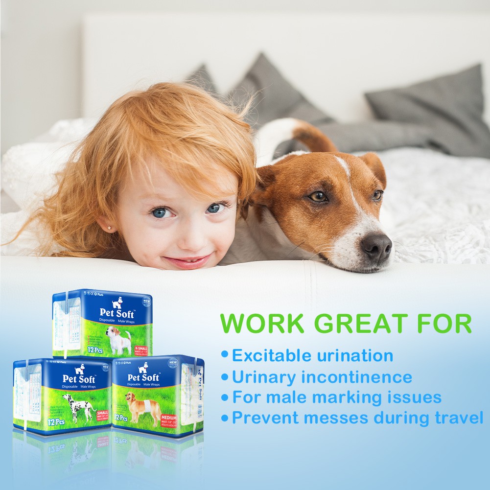 Bỉm dành riêng cho chó đực Pet Soft