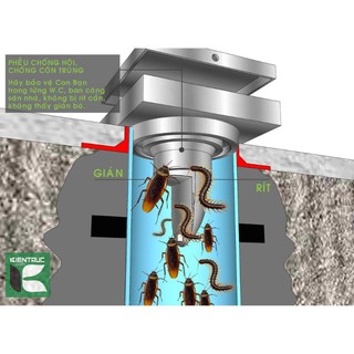 Hố ga - phễu thoát sàn ngăn mùi, chống hôi, chống con trùng