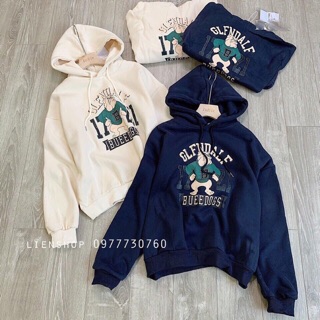 Áo nỉ mũ hình chó