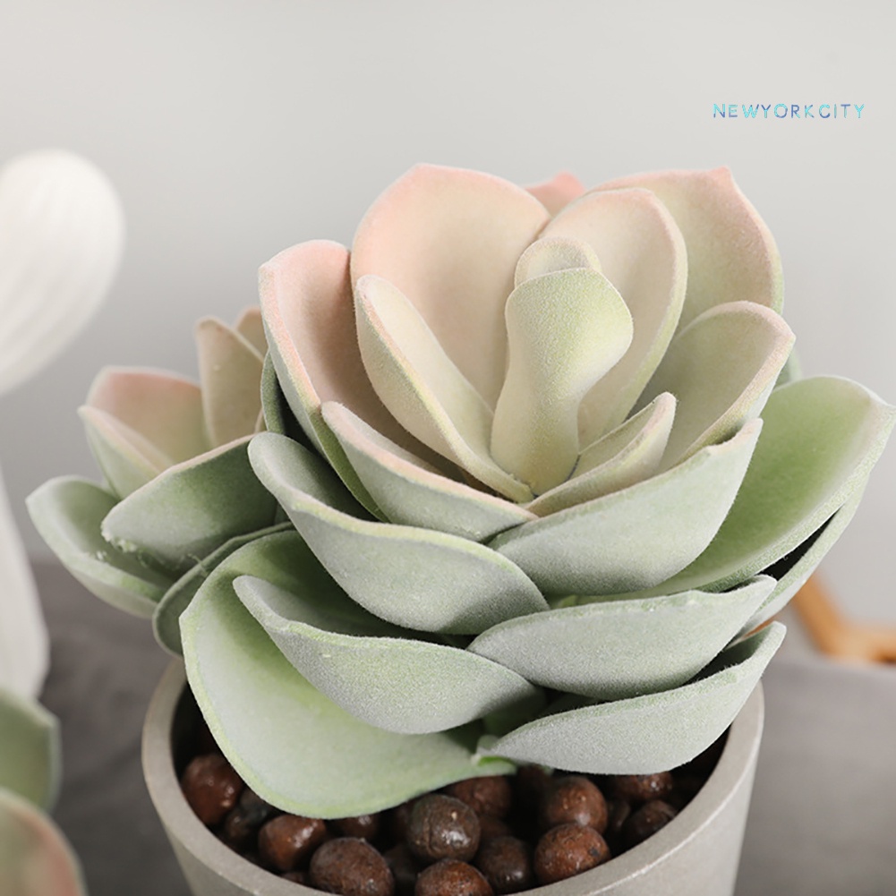 Chậu Cây Sen Đá Mini Nhân Tạo Để Bàn Trang Trí Nhà Cửa/Ban Công