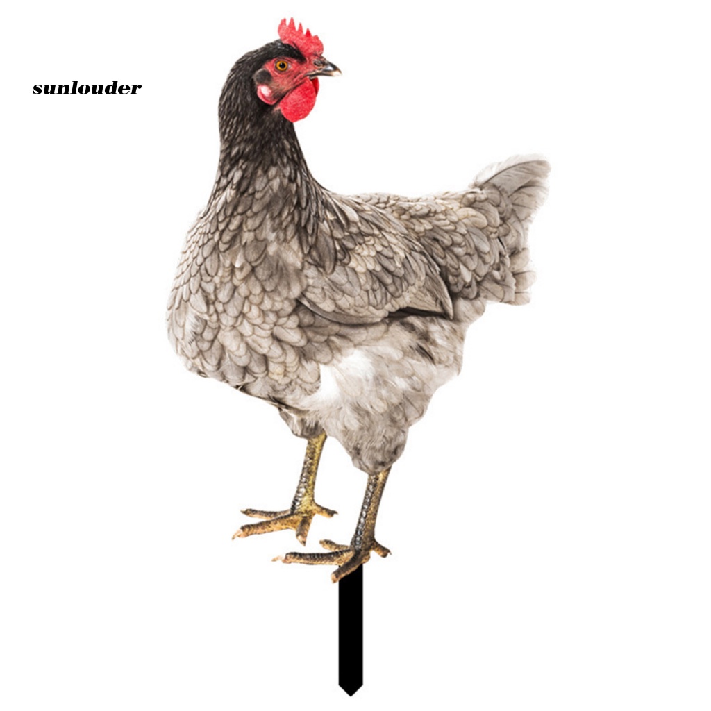 Mô Hình Con Gà Trống Trang Trí Sân Vườn