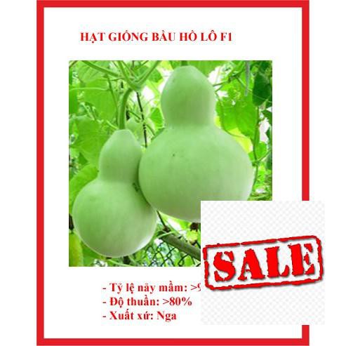 hạt giống bầu hồ lô 10 hạt SALE