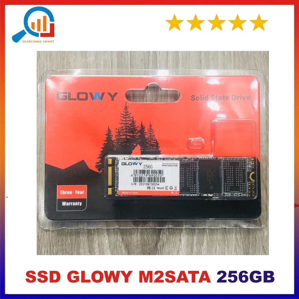 Ổ cứng SSD M2 SATA Gloway 256GB – CHÍNH HÃNG – Bảo hành 3 năm !!!