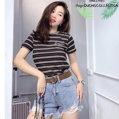 Áo phông tăm kẻ siêu hot hit