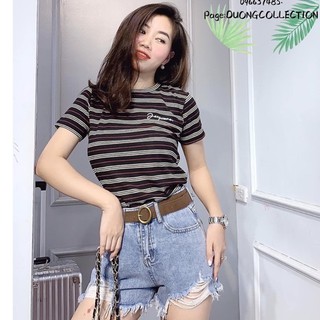 Áo phông tăm kẻ siêu hot hit