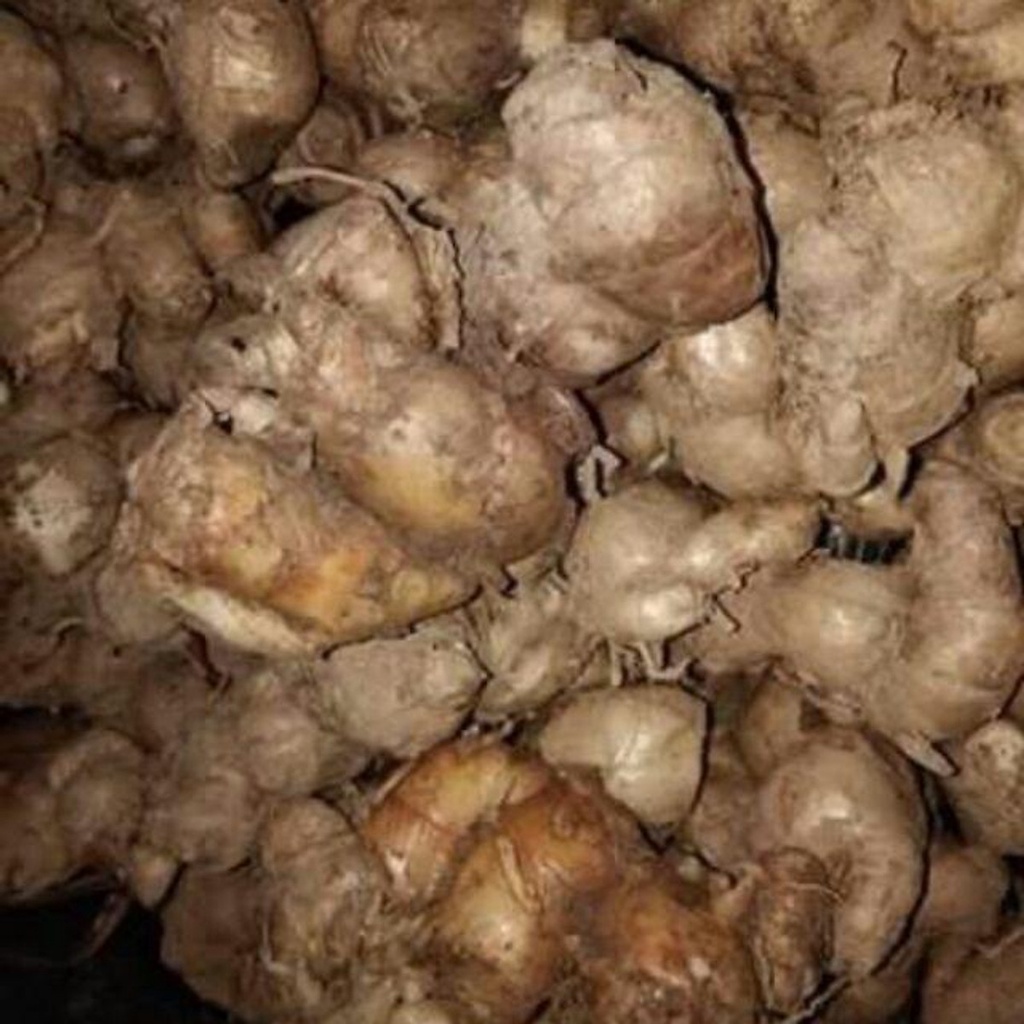 Củ Địa Liền  Tư ơi 500G