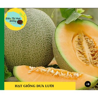 [Seeds] Hạt giống Dưa Lưới Tròn F1