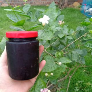 Siro và mứt dâu tằm