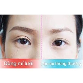 Miếng dán kích mí lưới 120 miếng