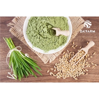 Combo Hạt giống cỏ lúa mì hữu cơ và Bột cỏ lúa mì hữu cơ 150gram