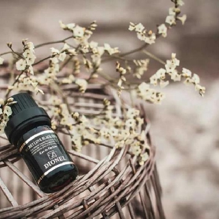 Nước hoa vùng kín dionel secrelove korea