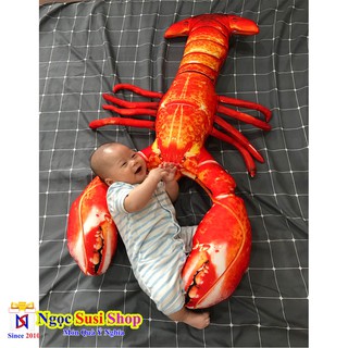 GẤU BÔNG TÔM HÙM [CỰC HOT ]