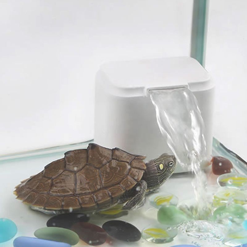 Máy lọc nước mini cho rùa cảnh size baby 🐢