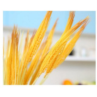 Bông lúa nhựa giả - lúa vàng  BCV4587