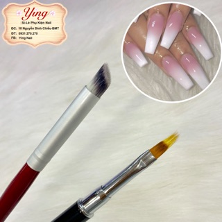 Cọ Ombre 2 Loại
