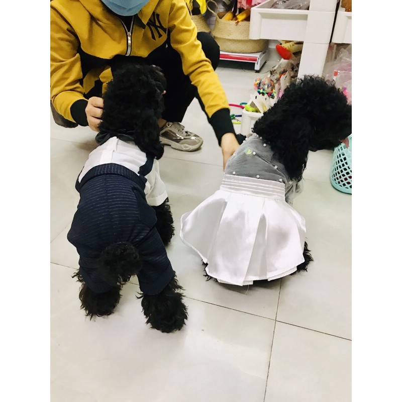 ÁO CHÓ MÈO - VÁY ĐẦM THIẾT KẾ CAO CẤP