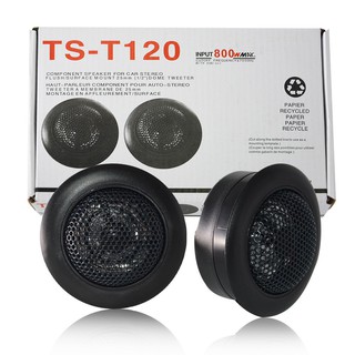 Loa treble Pioneer TS - T120