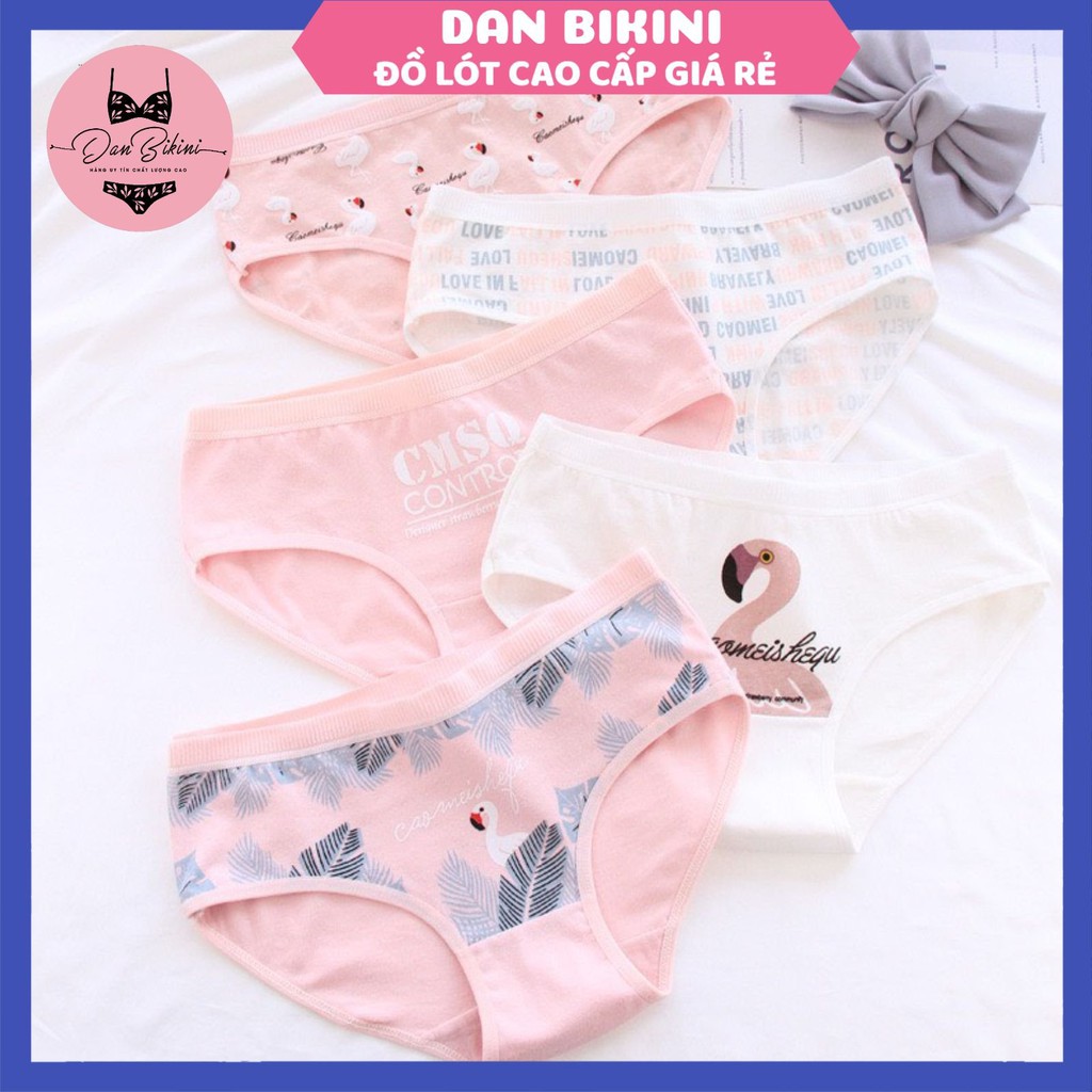 Quần Lót Nữ Cotton 100% kháng khuẩn thoáng mát ❤️ Quần Chip dễ thương hồng Flamingo mã B807