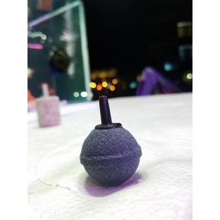 🐠 Combo 5 Đá sủi oxi tròn dành cho hồ cá cảnh thủy sinh ( tròn đều )