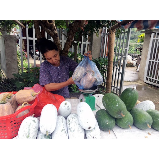 Bí xanh thơm  Đặc sản Sơn La - Thơm, ngon, bổ dưỡng