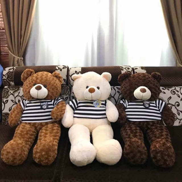 Gấu teddy 1m