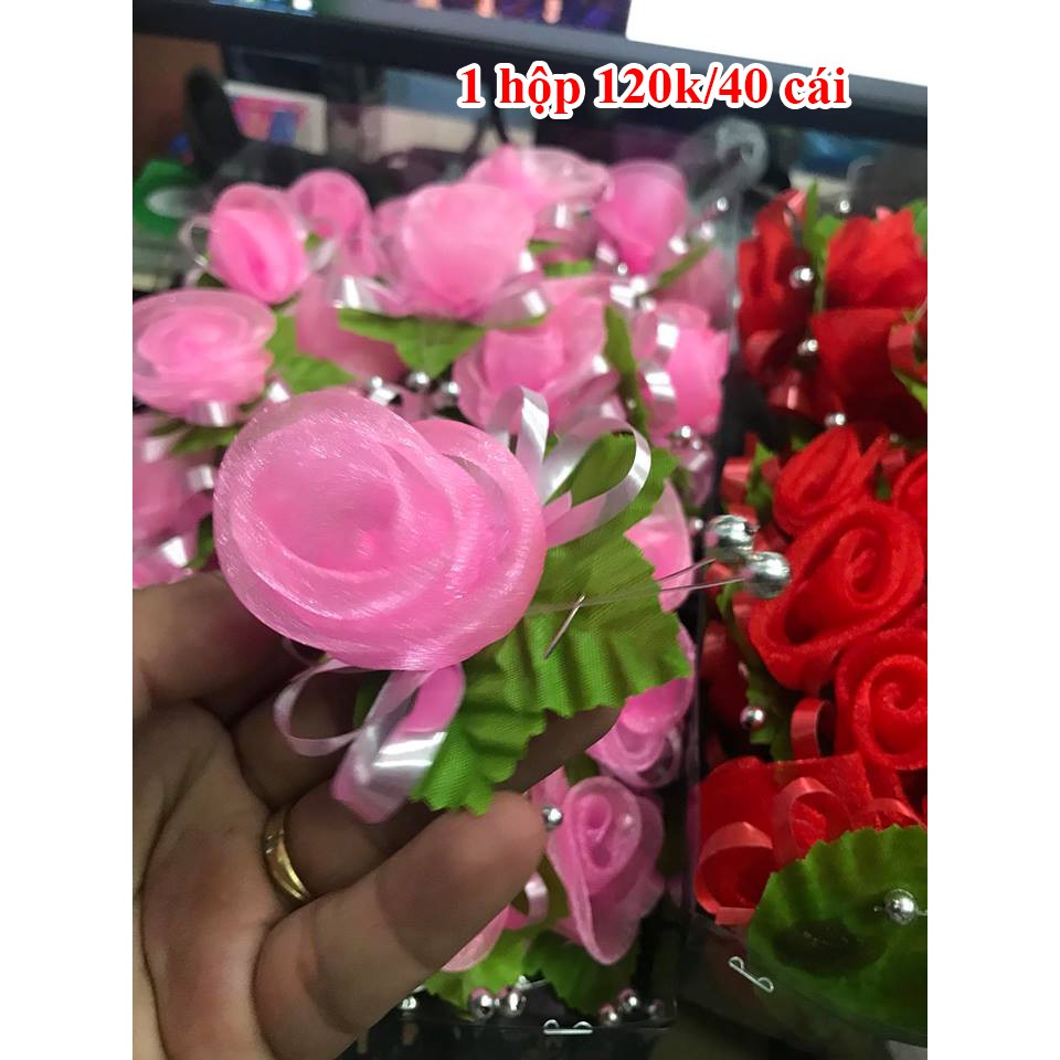 hoa cài áo hai họ