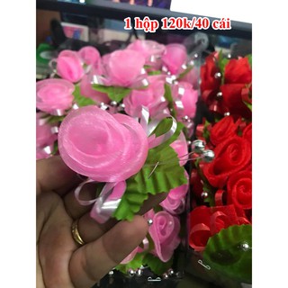 hoa cài áo hai họ