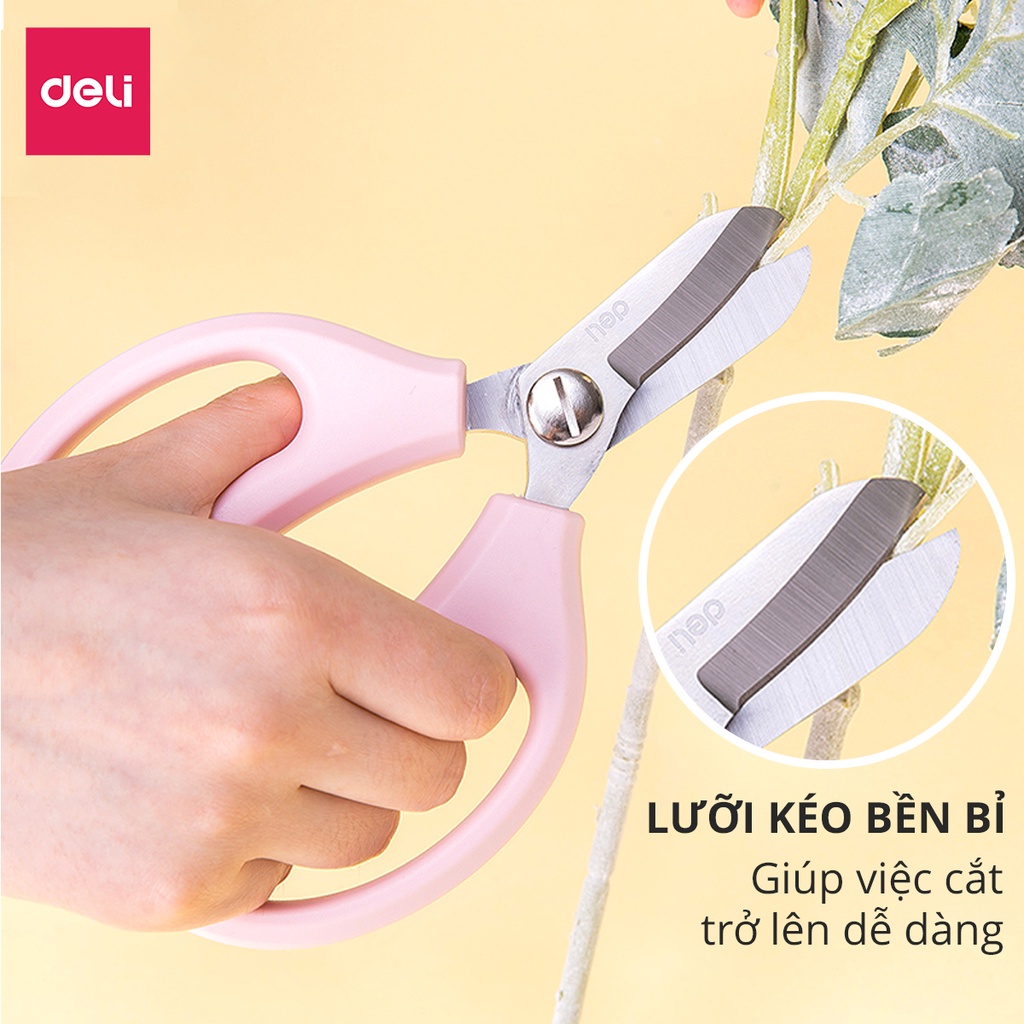 Kéo cắt hoa tỉa cành làm vườn chuyên dụng cao cấp Deli - Thiết kế ngăn chấn thương Lưỡi kéo cỡ lớn bền, không gỉ - 77751