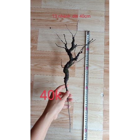 NHÁNH BONSAI GẮN HOA GIẢ