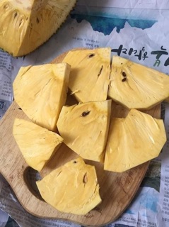 Cây giống mít không hạt