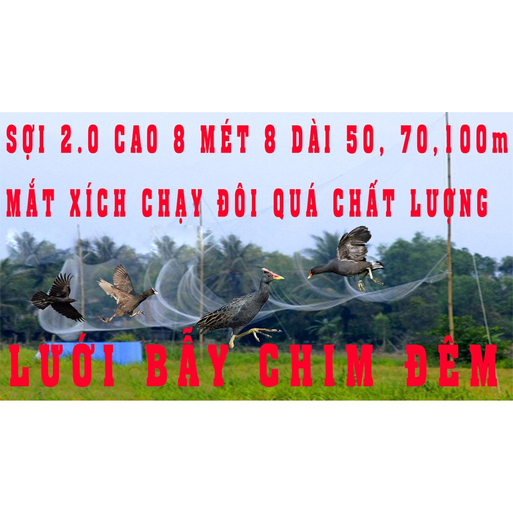 30M Lưới bẫy chim đêm cúm núm gà nước, quốc, bịp TH ,dài 30M mắt lỗ 7p sợi 20 cao 8m4 5 dây 4 túi lưới đen tàng hình